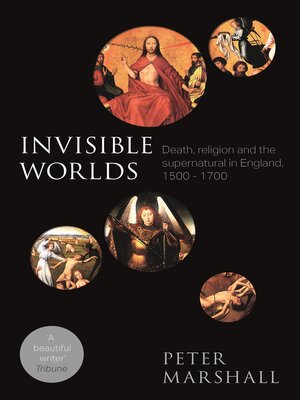 cover image of Invisible Worlds
